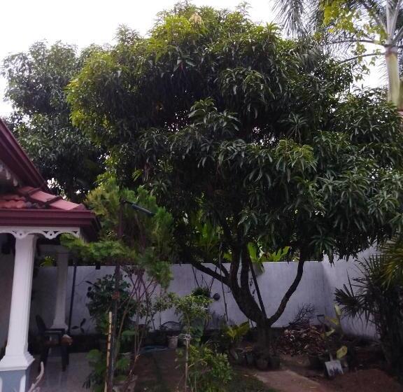 פנסיון Cosy White Palace