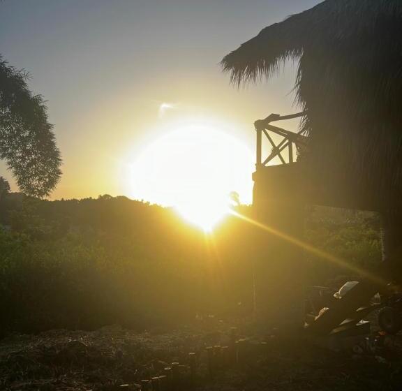 Dominican Jungle Resort