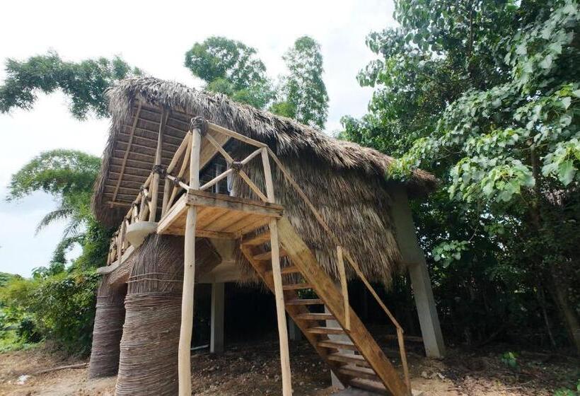 Dominican Jungle Resort