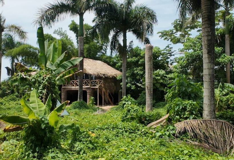 Dominican Jungle Resort