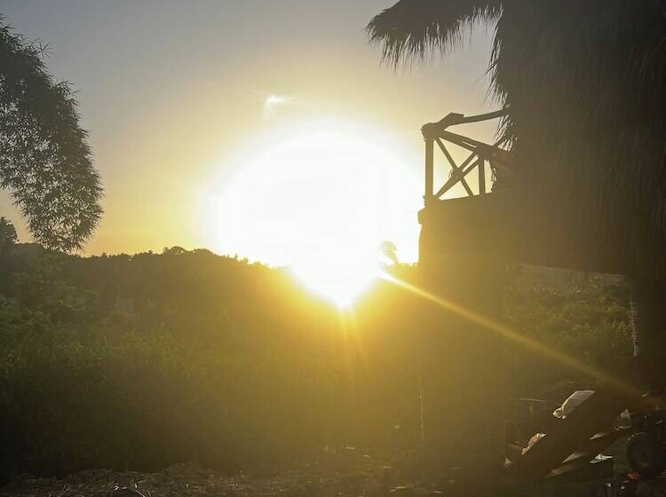 Dominican Jungle Resort