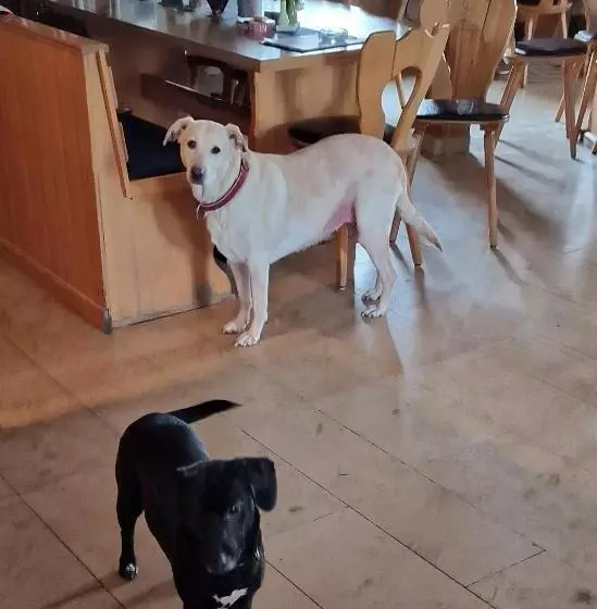 Retkeilymaja Landgasthof Zum Angerwirt