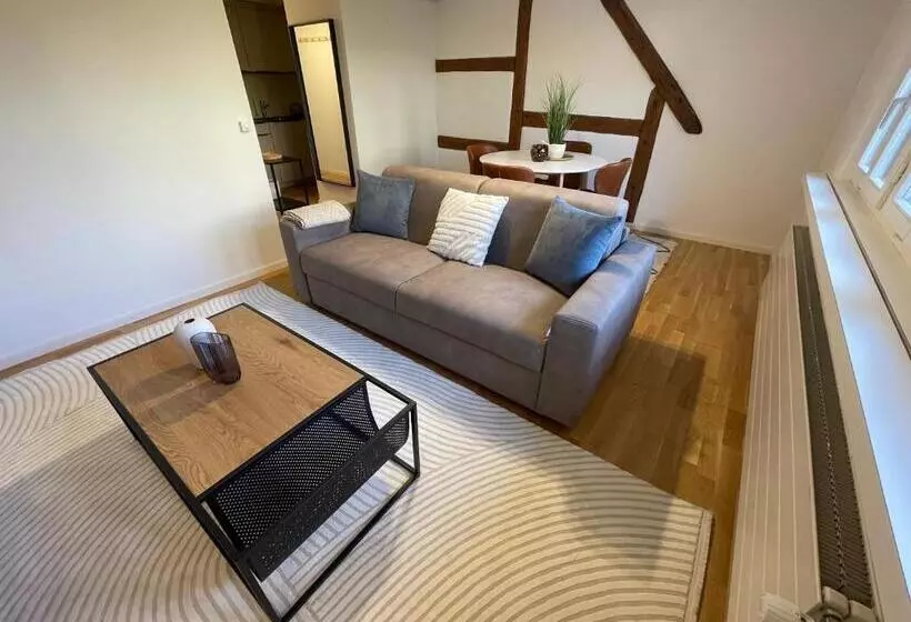 Ariser   Zug Old Town Suites