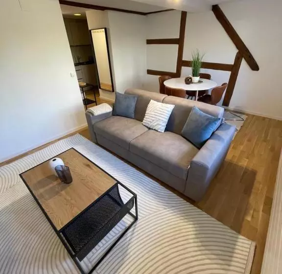 Ariser   Zug Old Town Suites