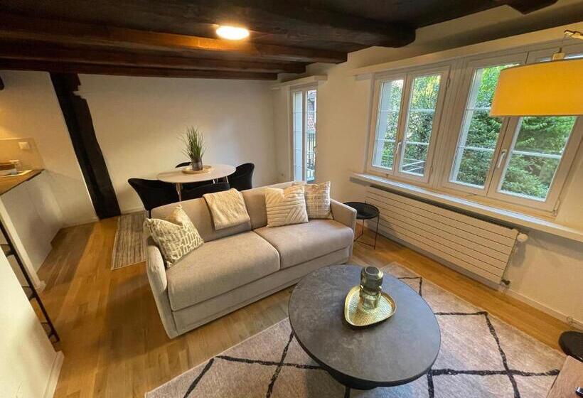 Ariser   Zug Old Town Suites