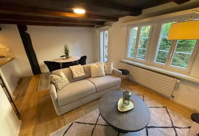 Ariser   Zug Old Town Suites