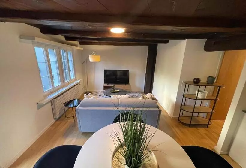 Ariser   Zug Old Town Suites