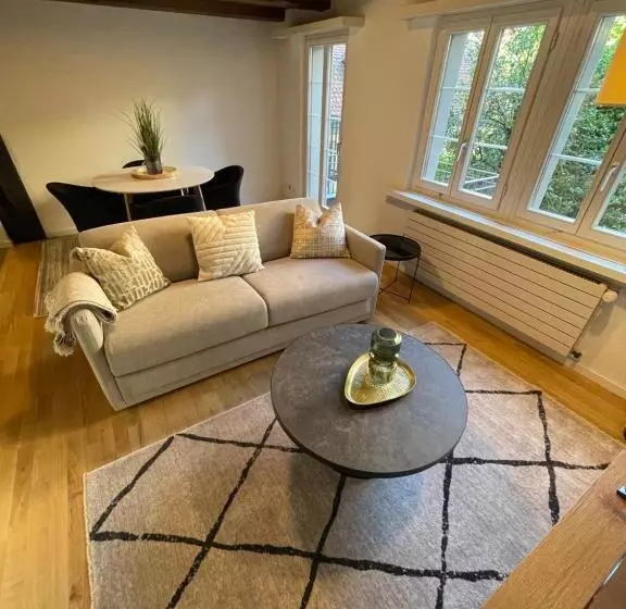 Ariser   Zug Old Town Suites