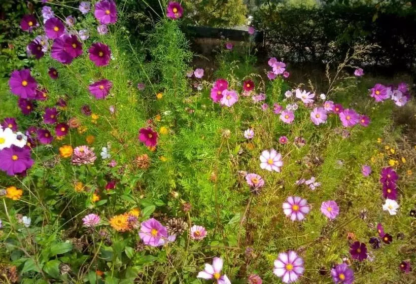 Aamiaismajoitus (B&B) Au Nid De Mes Anges