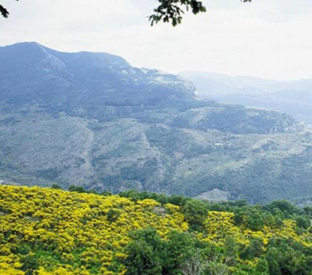 צימר Casa Delle Grazie