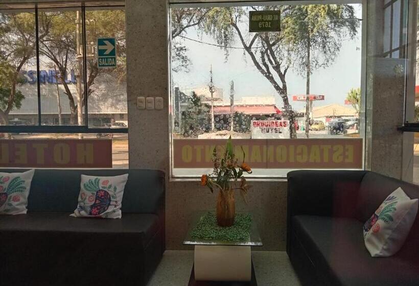 ホテル Orquídea S