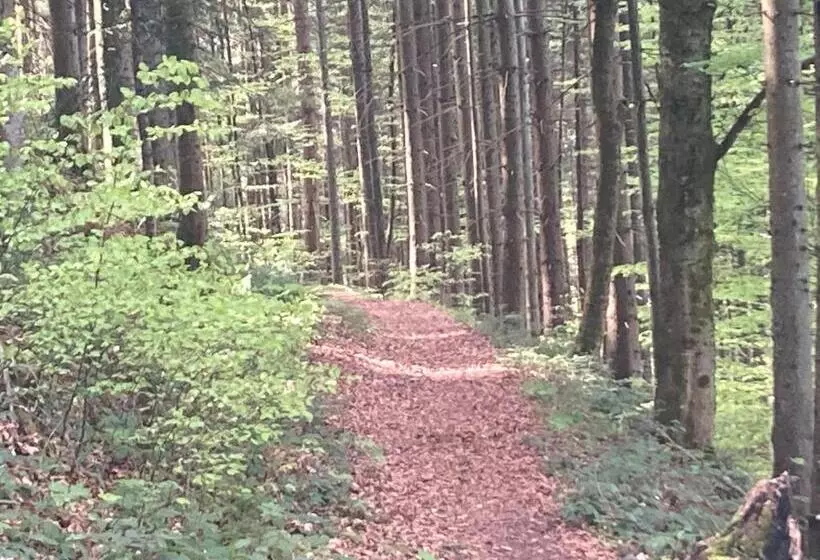Aamiaismajoitus (B&B) Haus Am Alten Berg