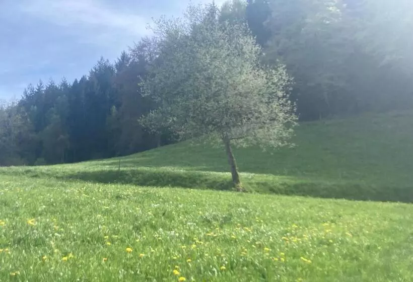 Aamiaismajoitus (B&B) Haus Am Alten Berg