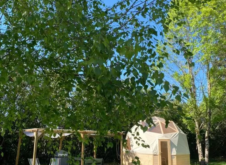 Aamiaismajoitus (B&B) L Enclave Insolite   Cabanes Avec Piscine Et Bains Nordiques