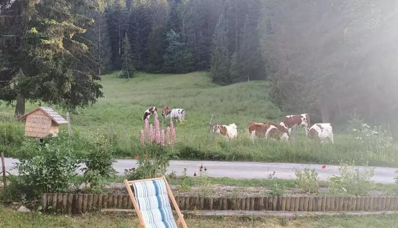 Aamiaismajoitus (B&B) La Grand Raie Table D Hôtes