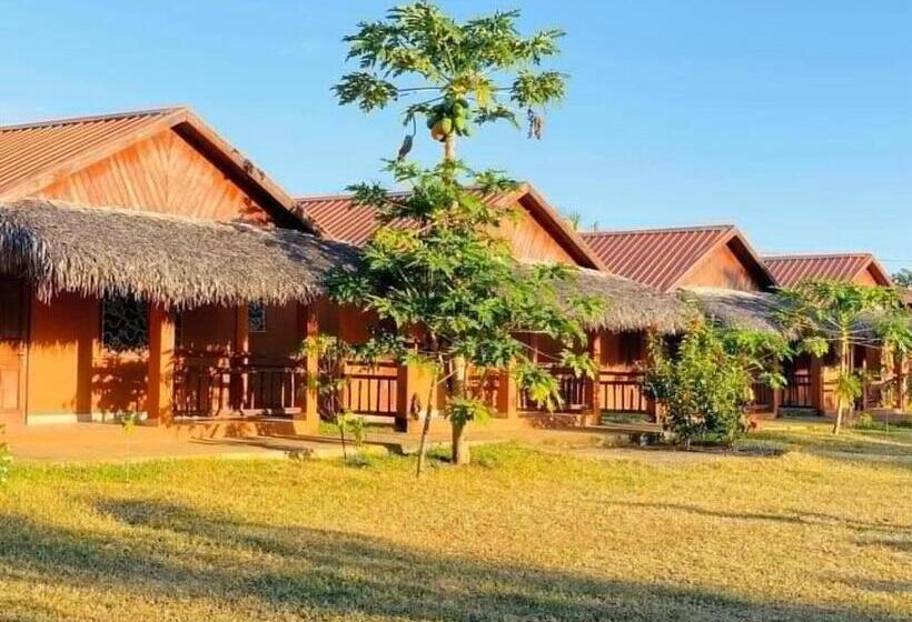 تختخواب و صبحانه Rivatsara