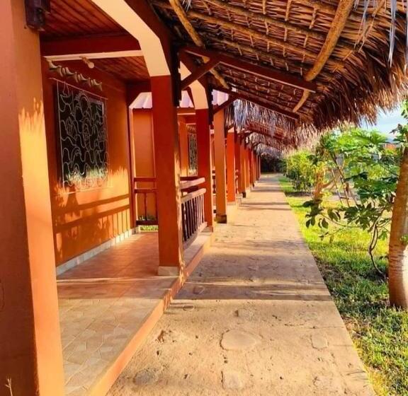 تختخواب و صبحانه Rivatsara