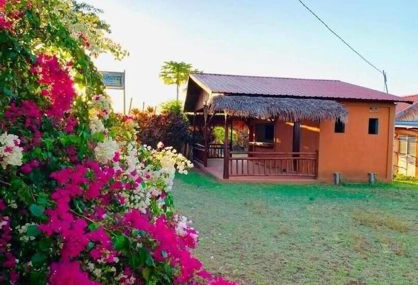 تختخواب و صبحانه Rivatsara