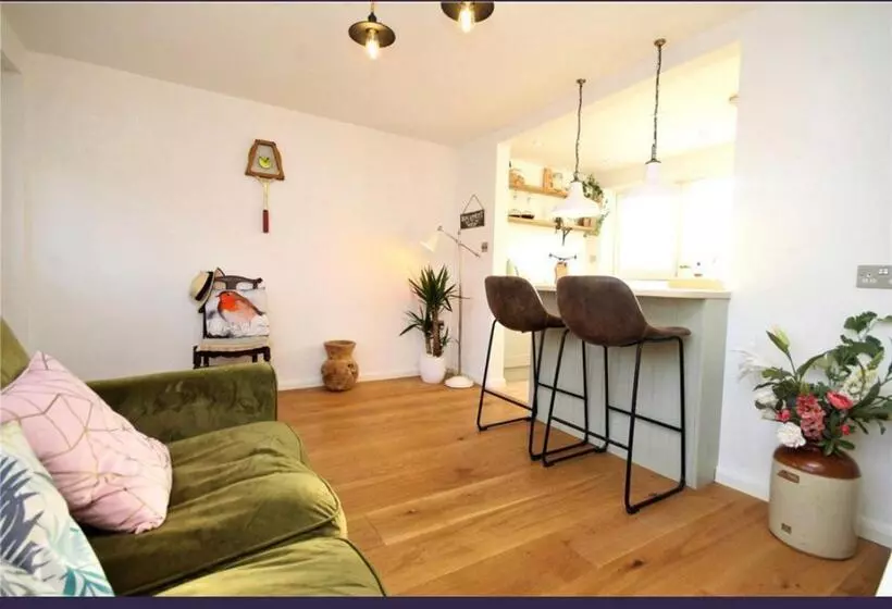پانسیون Sanzzy Room London