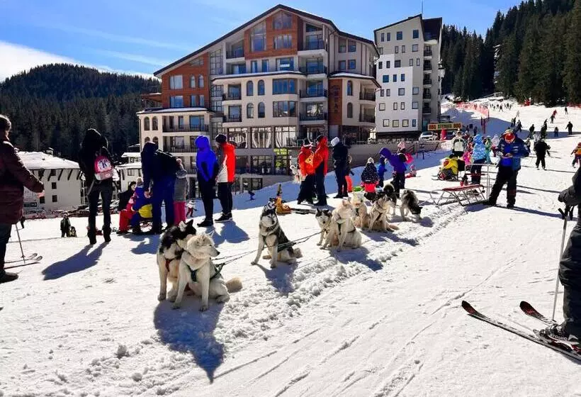 The Bear Pamporovo