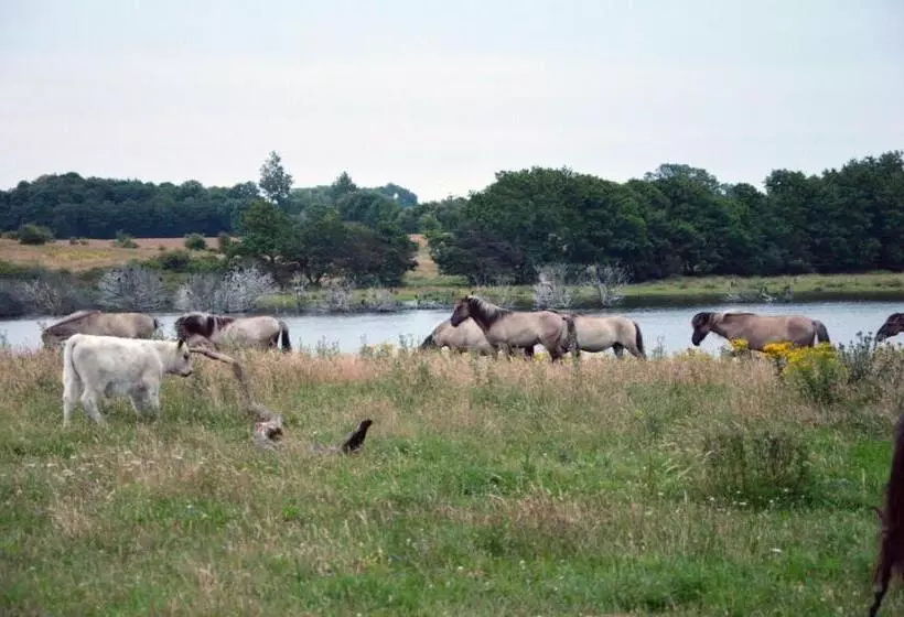 Hotelli Ferienwohnung Auf Dem Lande