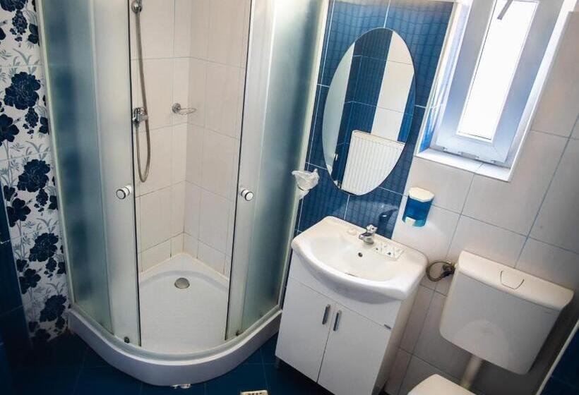 פנסיון Vila Panseluța