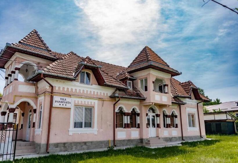 פנסיון Vila Panseluța