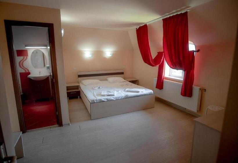 פנסיון Vila Panseluța