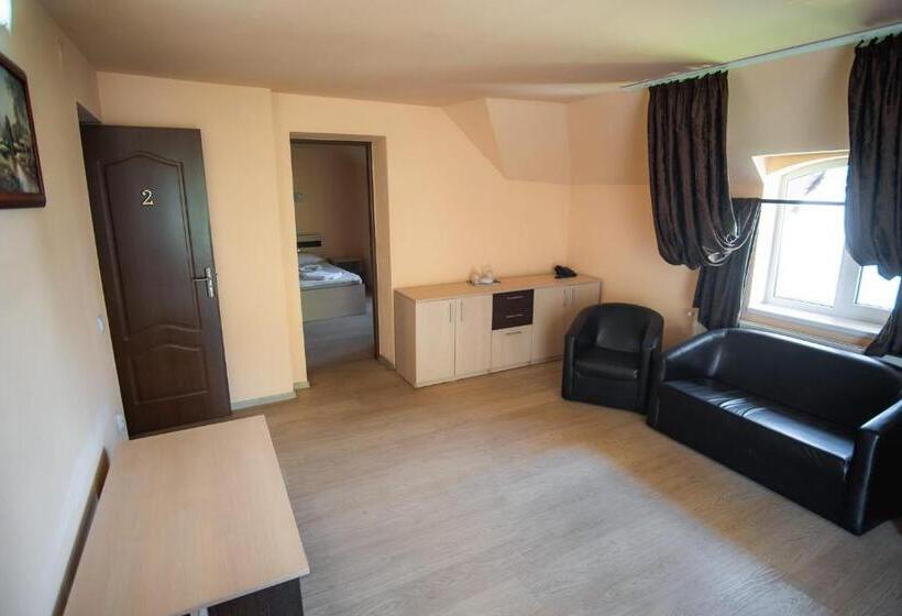 פנסיון Vila Panseluța