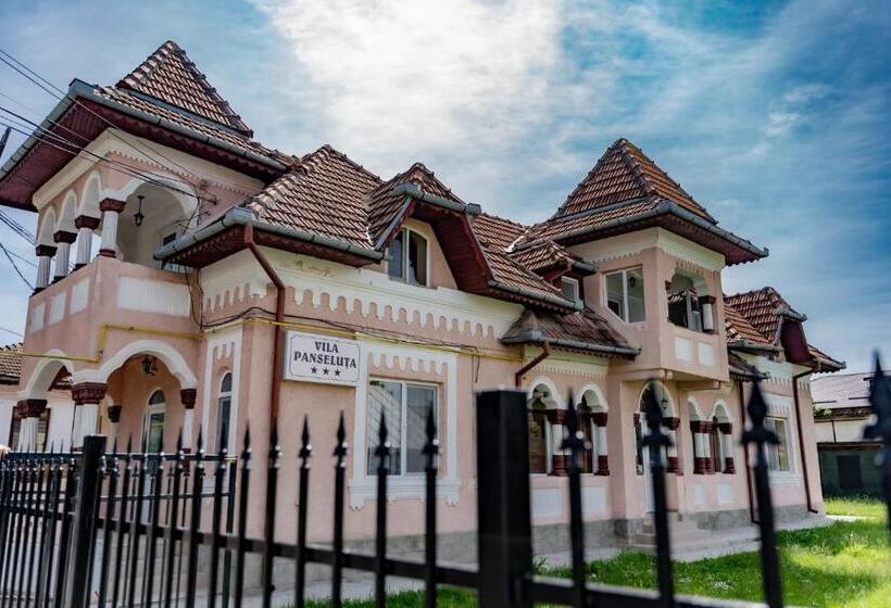 פנסיון Vila Panseluța