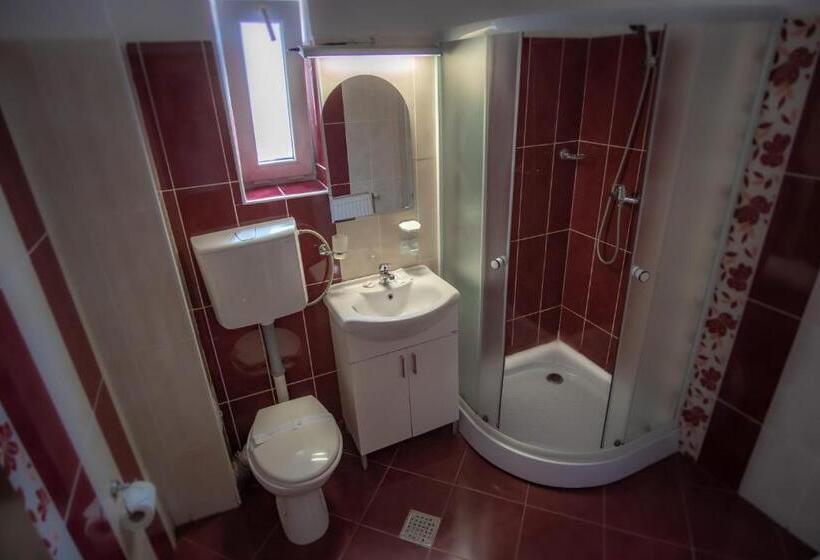 פנסיון Vila Panseluța