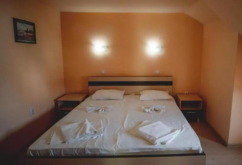 Majatalo Vila Panseluța