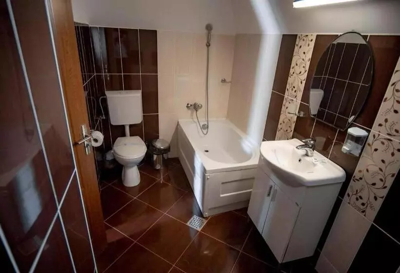 Majatalo Vila Panseluța