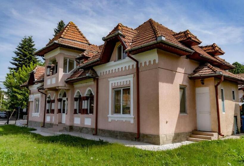 פנסיון Vila Panseluța