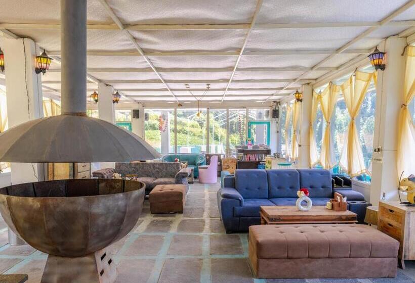 הוסטל Moustache Shoja, Jibhi