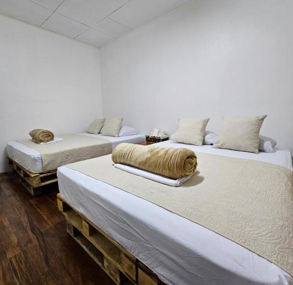 Bed and Breakfast Bnb Ecostay