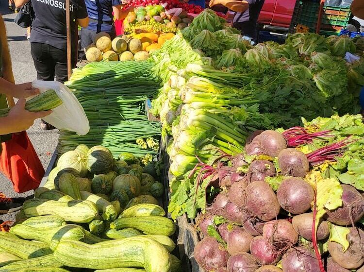 Bed and Breakfast Bnb Ecostay