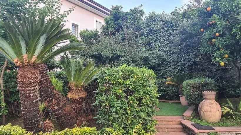 تختخواب و صبحانه Le Sale Resort