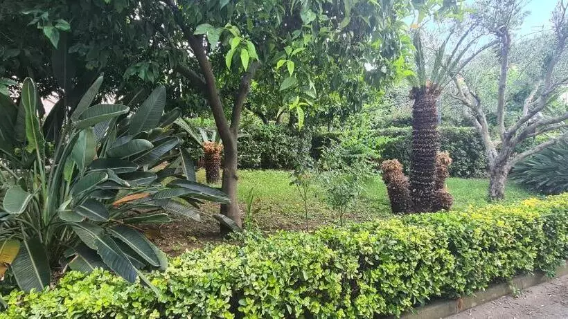 تختخواب و صبحانه Le Sale Resort