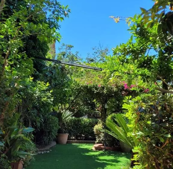 تختخواب و صبحانه Le Sale Resort