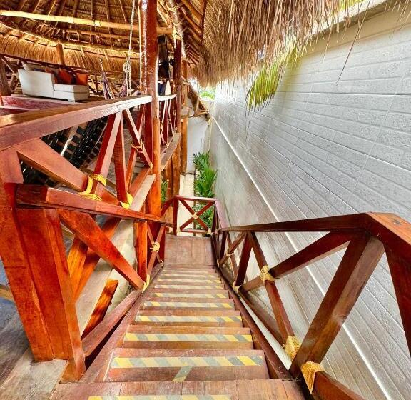 Espectaculares Cabañas Y Habitaciones Frente Al Mar