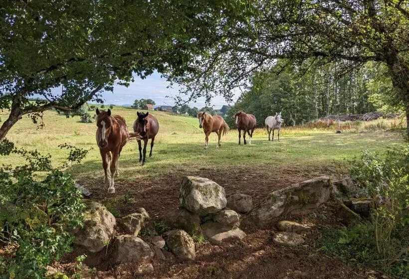 ペンション Ferme équestre Equi Cantal