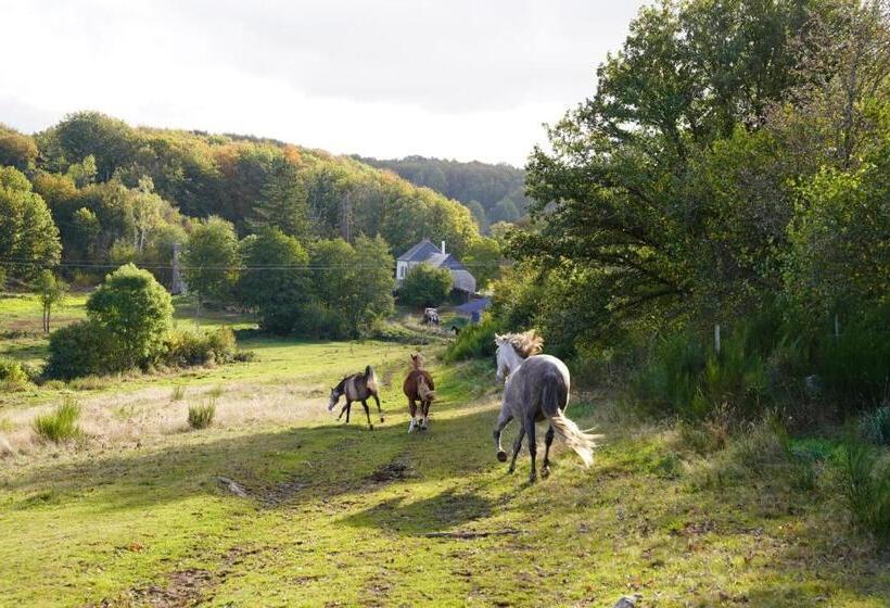 بنسيون Ferme équestre Equi Cantal