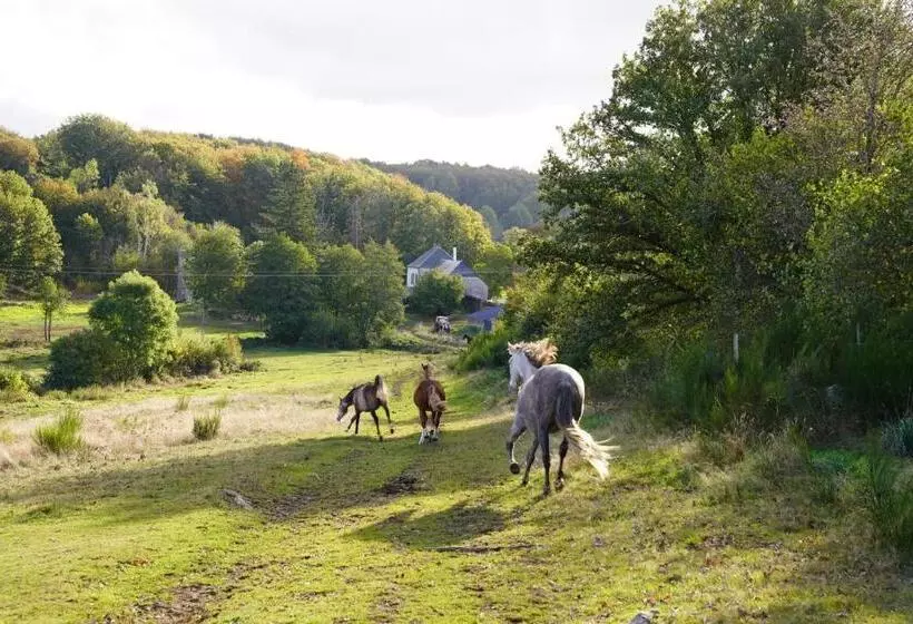 ペンション Ferme équestre Equi Cantal