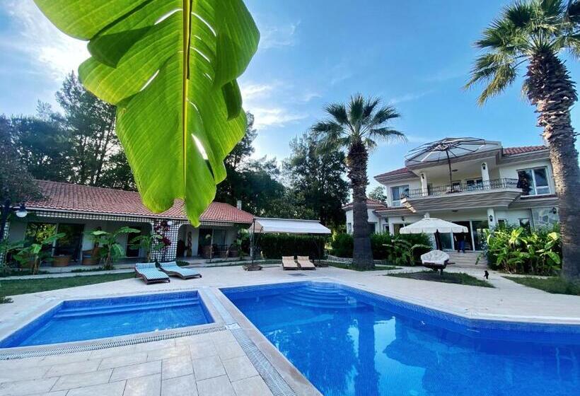 Пансион Sunyear Guest Houses 1