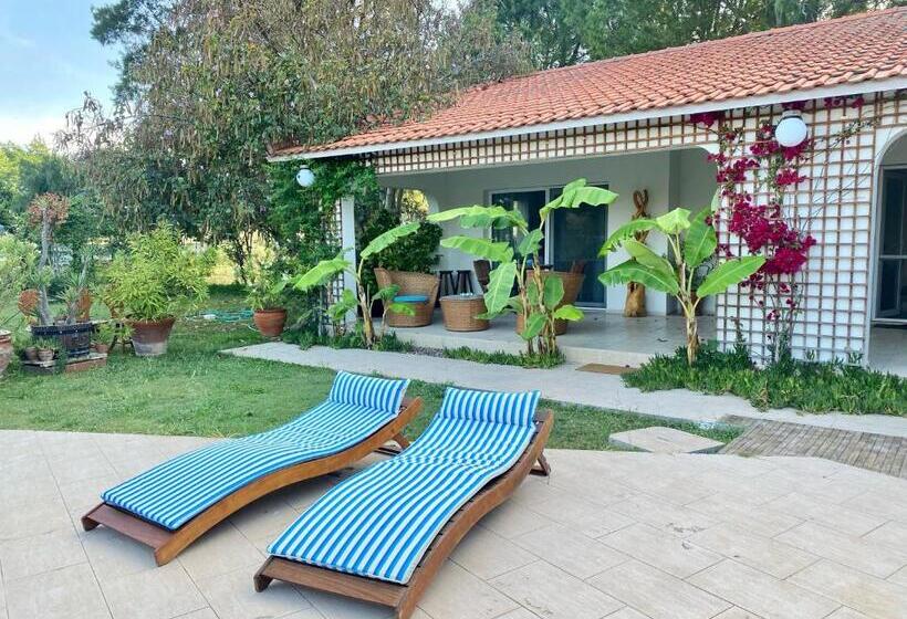 Пансион Sunyear Guest Houses 1