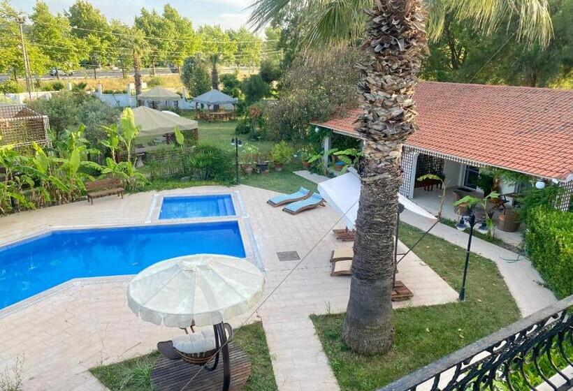 Пансион Sunyear Guest Houses 1