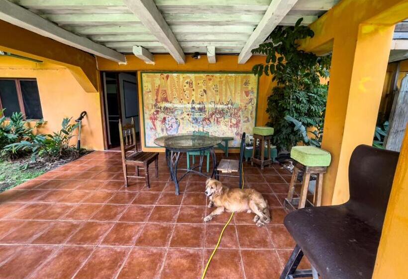 بنسيون Garden Rooms