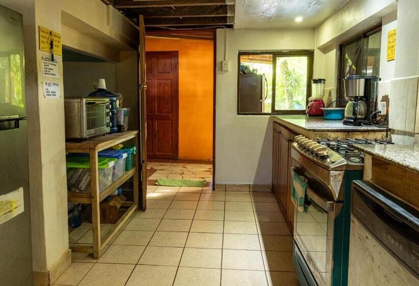 بنسيون Garden Rooms