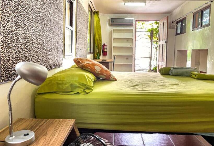 بنسيون Garden Rooms